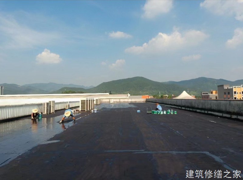 铜陵2026铜官山区 外墙防水 排名前十的源头厂家
